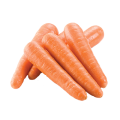 Carrots   500g