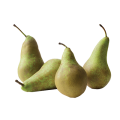 Conference Pears   4pk