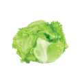 Iceberg Lettuce   1pk