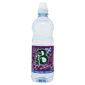 Mac B Apple & Blackcurrant 500ml
