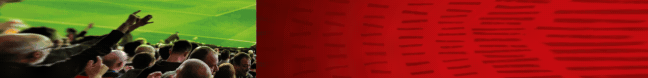 walkers-web-takeover-top-banner
